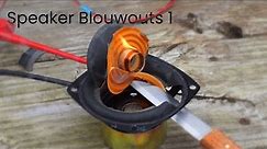 Speaker Blowouts 1 | Fire!