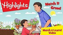 Highlights Watch & Learn!: Watch It Grow!