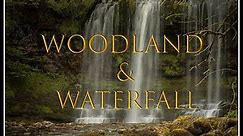 Brecon Beacons Waterfalls - Woodland & Waterfall - Sgwd yr Eira