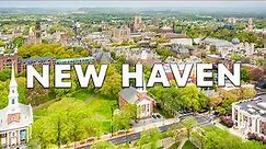 Top 10 Best Things to Do in New Haven, Connecticut [New Haven Travel Guide 2023]