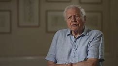 David Attenborough sends warning about ‘natural world’ ahead of Planet Earth return