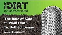 The Role of Zinc in Plants with Dr. Jeff Schoenau