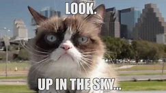 Grumpy Cat In The Sky!?!