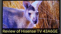 Full Review of Hisense 43 inch UHD LED TV 2021 | 43A6GE