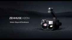 DJI Enterprise Zenmuse H20N - Night Vision Hybrid Payload