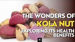 UNLOCKING A NATURAL PHARMACY: THE UNTAPPED HEALTH BENEFITS OF KOLA NUTS - Cola acuminata & nitida