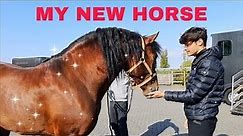 I BOUGHT A NEW HORSE (ARRIVAL)
