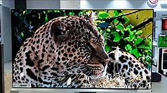 LG Signature 88" ZX Series OLED 8K Smart TV (2020)