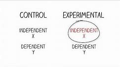 Research Methods: Independent & Dependent Variables