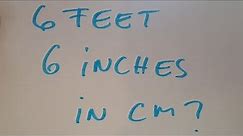 6 feet and 6 inches in cm?