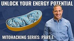 Biohacking Your Mitochondria: Supercharge Your Energy Potential | Part 1: Mitochondrial Function