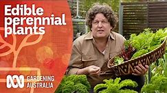How to select and grow edible perennial plants | Growing Fruit and Vegies | Gardening Australia