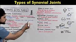 Joints and Its types: Synovial joint types