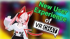 The NEW USER Experience Of VRChat