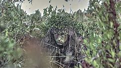 Marine Corps Scout Sniper Course: Cover and Concealment