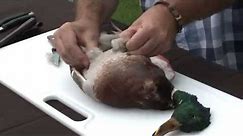 How to Clean a Duck
