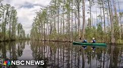 Environmentalists warn of threat to famed Okefenokee Swamp