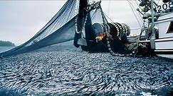 Unbelievable The Most Big Net Fishing At Sea - Fishing Boat Catch Hundreds Tons Fish