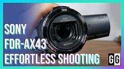 Sony FDR-AX43 Handycam with Exmor R CMOS sensor Unboxing, First Impressions, Camera Samples