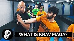 Roy Elghanayan in What Is Krav Maga? Interview With Israeli Special Forces Martial Arts Instructor