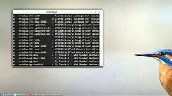 Install Proprietary Video Driver in Linux Mint or Ubuntu