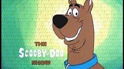 Top 5 Favorite Episodes From The Scooby Doo Show