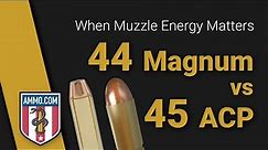 44 Magnum vs 45 ACP: Kings of Muzzle Energy