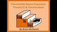 Trinucleotide Repeat Expansion, Trisomy 21, Nuchal Translucency Alphafetoprotein t(1418) t(1517)
