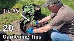 20 Gardening Tips That Any Gardener Can Use - Beginner Or Experienced