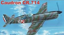 RS models Caudron C.714 1/72 review