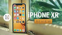 iPhone XR Review: A more practical choice?