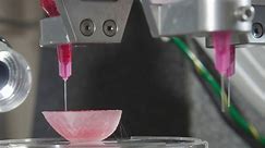 3D Printing: The Future of organ transplants