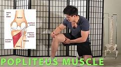 POSTERIOR KNEE MASSAGE : PAIN AND MOBILITY (POPLITEUS)