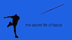 The Secret Life of Fascia: Part 3 - Fascia in Sports & Movement