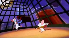 Pinky and The Brain - Pinky - Just say Narf
