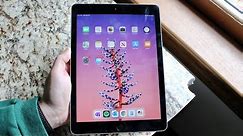 iPad 6th Generation (2018) In 2020! (Still Worth It?) (Review)