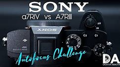 Sony a7RIV vs a7RIII vs a9: Autofocus Clinic | 4K