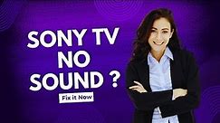 Sony TV No Sound - Full Guide