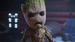 Marvel Studios’ I Am Groot S1 E1: Groot’s First Steps
