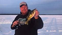 Ice Fishing Report from Brian Brosdahl