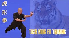 Tiger Kung Fu Training -Stronger & Faster