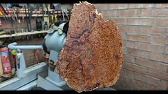 The WORLD's most beautiful wood? - woodturning THUYA Burl