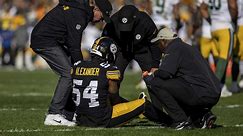 Tomlin: Steelers LB Kwon Alexander suffers 'serious lower-body injury' in Packers game