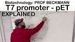 T7 promoter in pET plasmid explained