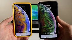 iPhone XS & XS Max: New Live Wallpapers!