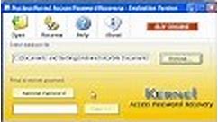 Kernel for Access Password Recovery: Unlock MDB Files