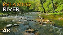 4K Relaxing River - Ultra HD Nature Video - Water Stream & Birdsong Sounds - Sleep/Study/Meditate