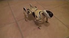 Robopet