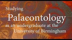 Studying Palaeontology as an undergraduate at the University of Birmingham