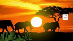 elephants sounds, Species of elephants, elephant habitat - video Dailymotion